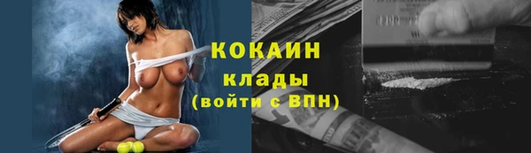 Альфа ПВП Аркадак