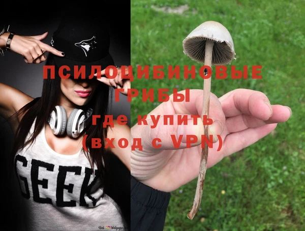 Альфа ПВП Аркадак