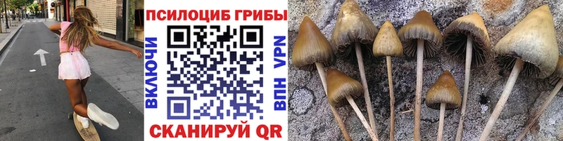 Псилоцибиновые грибы мухоморы  где купить   мега ссылки  Темников 