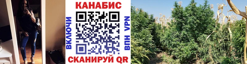 магазин наркотиков Темников Конопля план